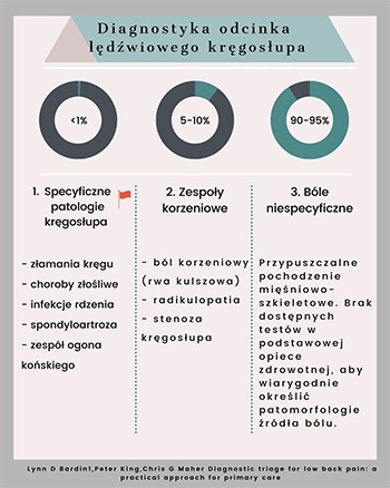 Diagnostyka odcinka lędźwiowego kręgosłupa