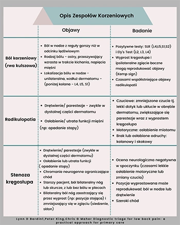 Opis zespołów korzeniowych