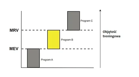 Schemat objętości treningowej